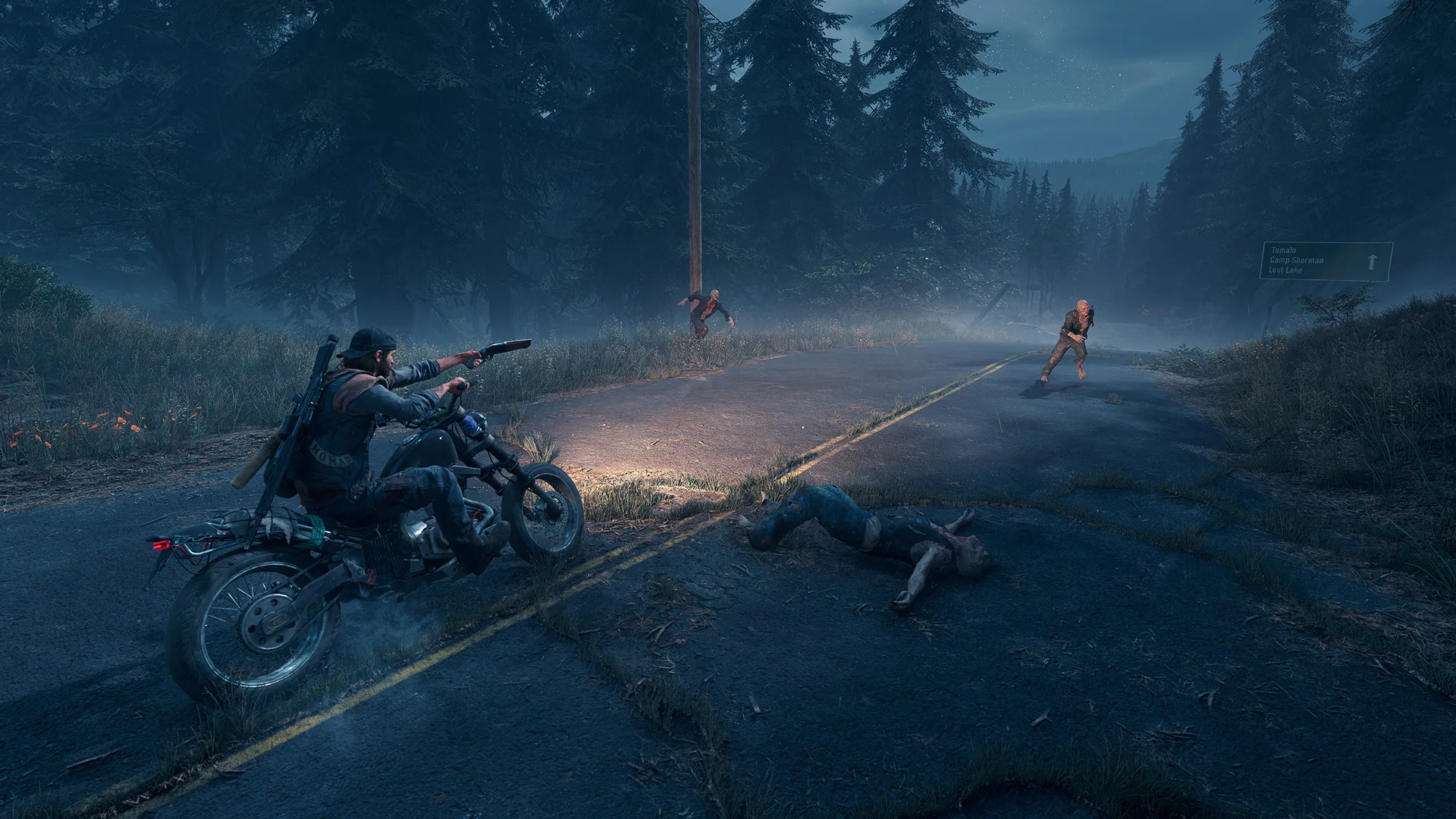 РФ+СНГ | DAYS GONE | STEAM КЛЮЧ