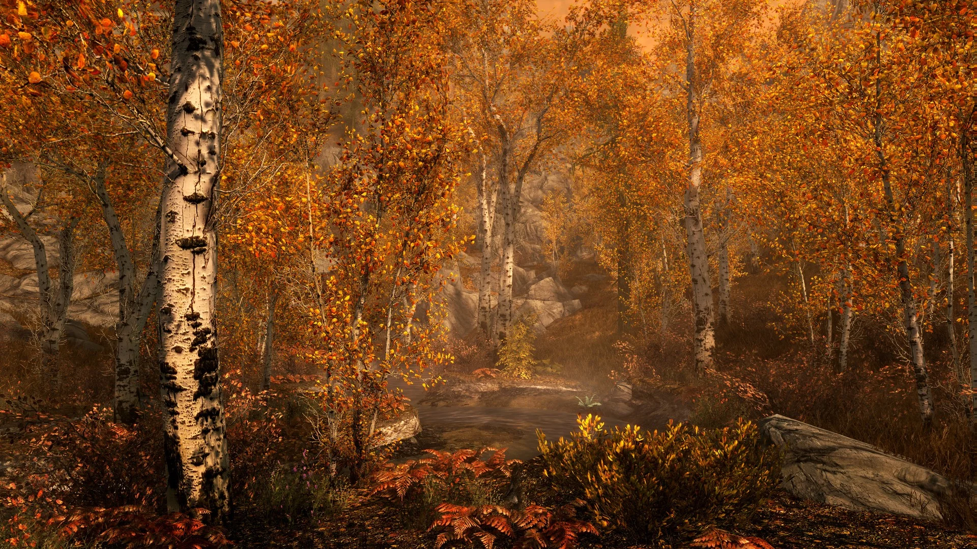 The Elder Scrolls V: Skyrim Special\Anniversary STEAM⚡️